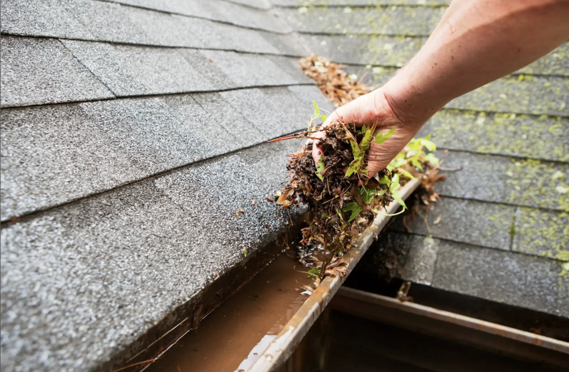 Driveway and Roof Cleaning