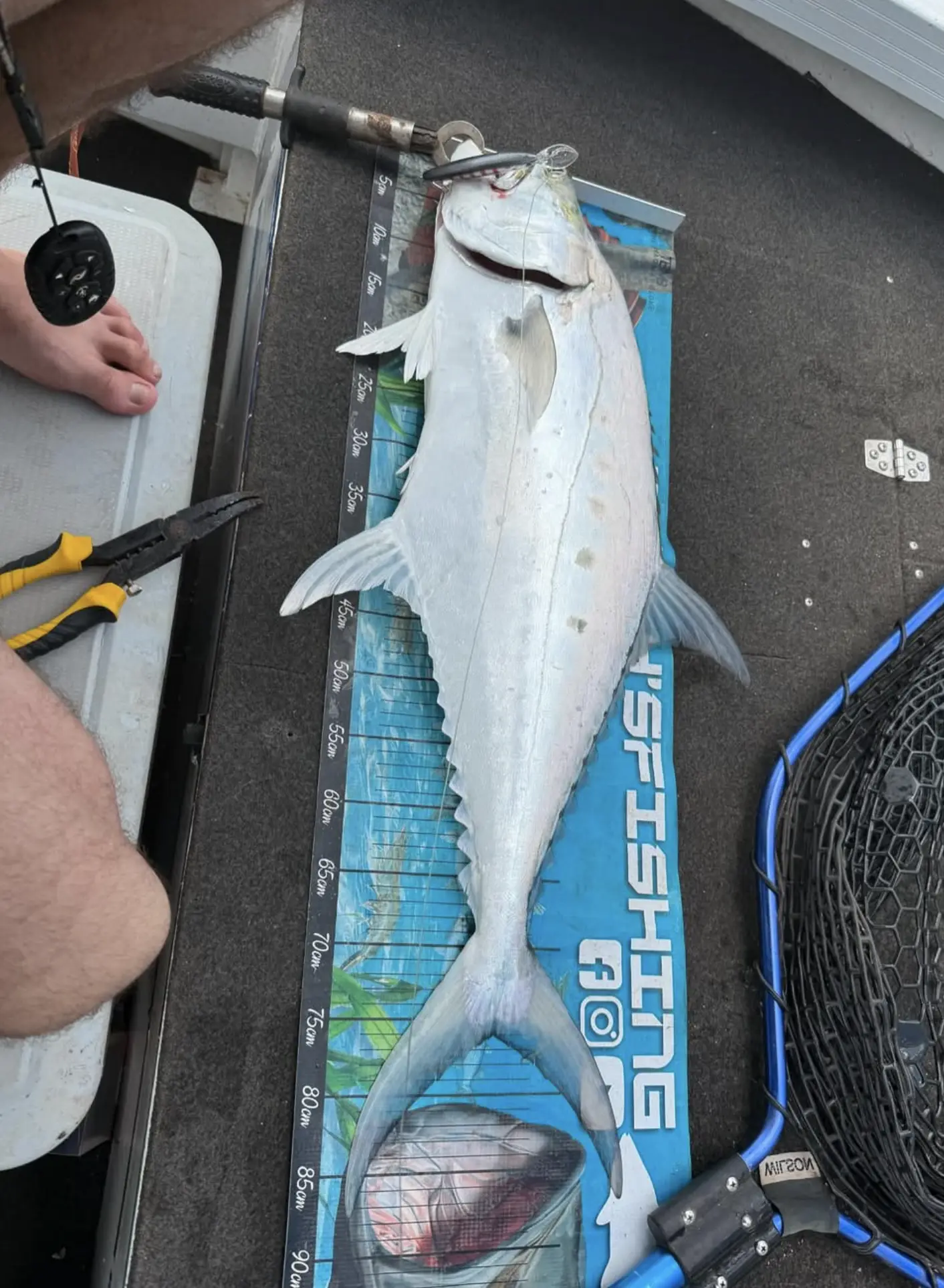 Northern Territory Fishing