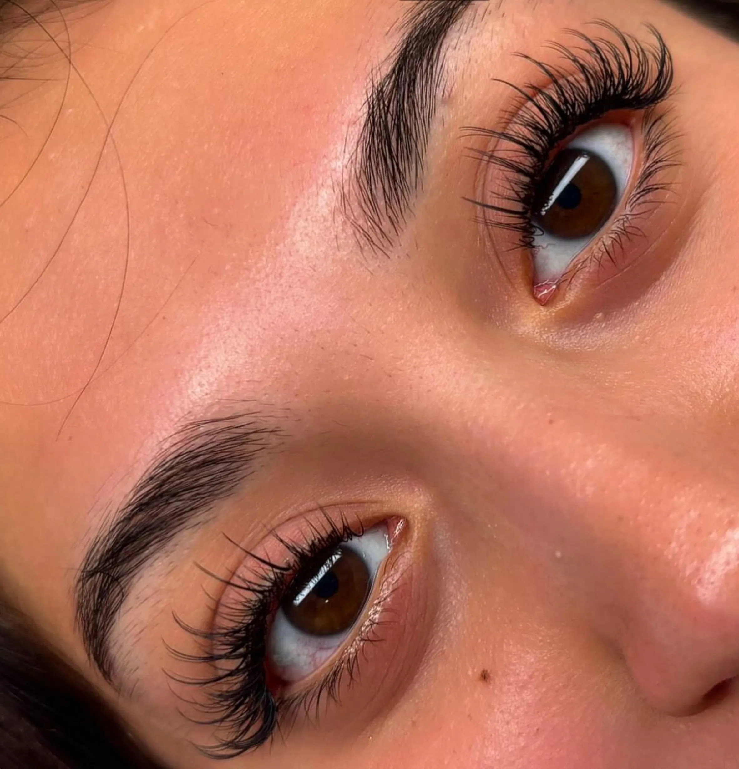 individual lash fibres