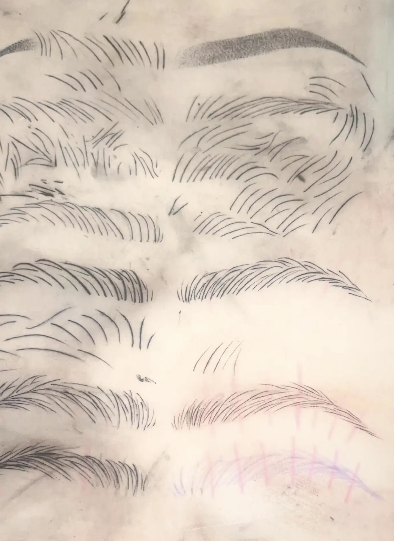 microblading certification Australia