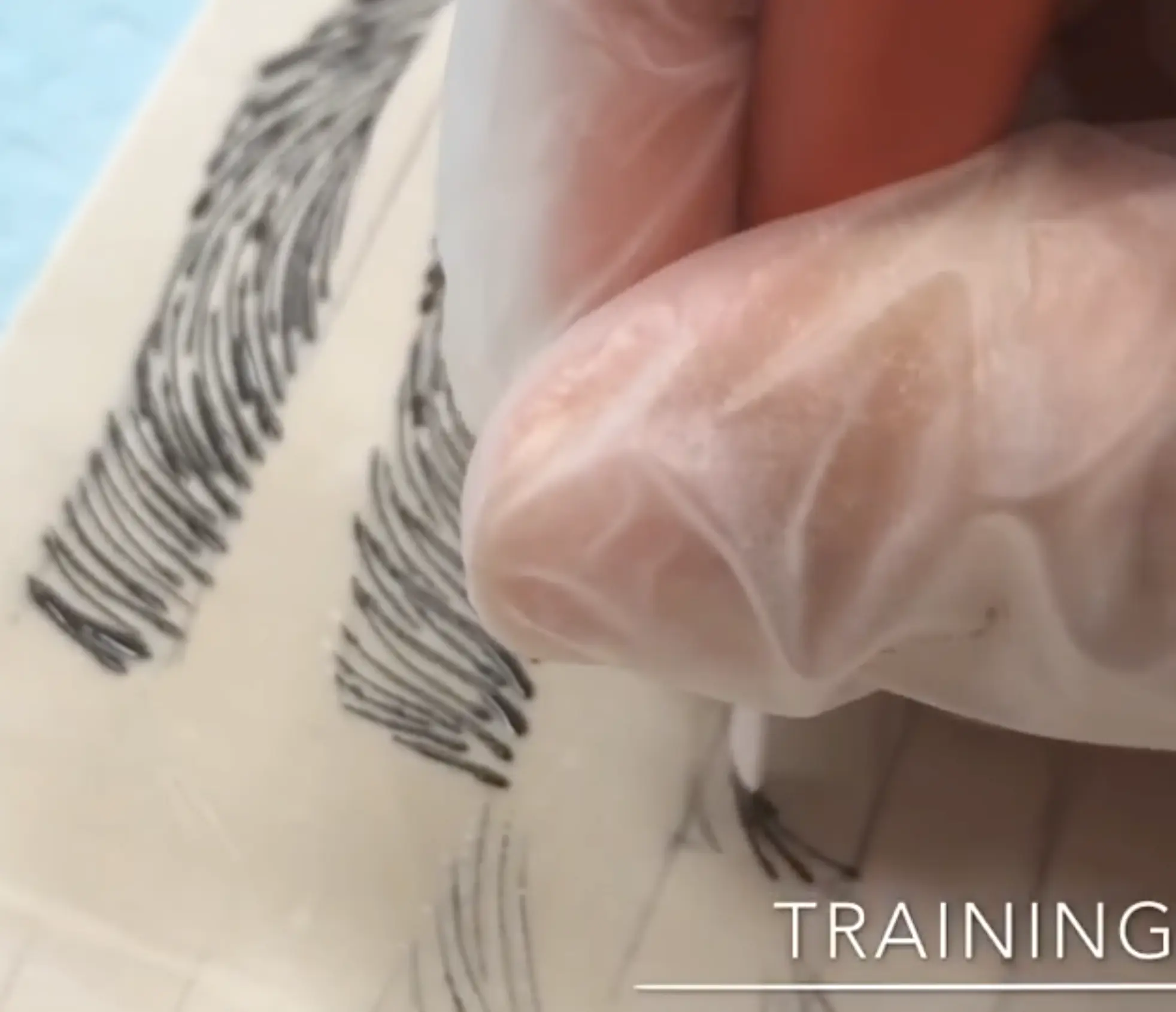 microblading course Melbourne