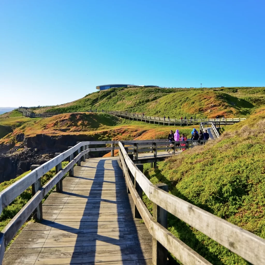 Discovering The Nobbies and The Boardwalks