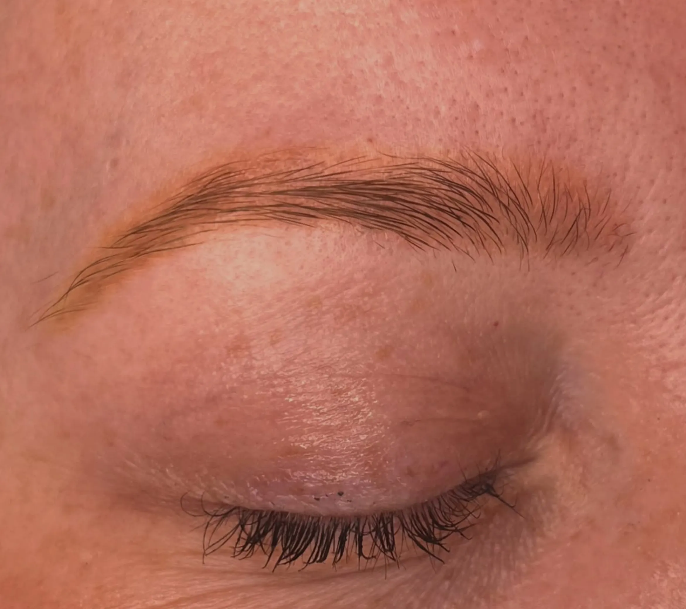 brow tattoo skill development