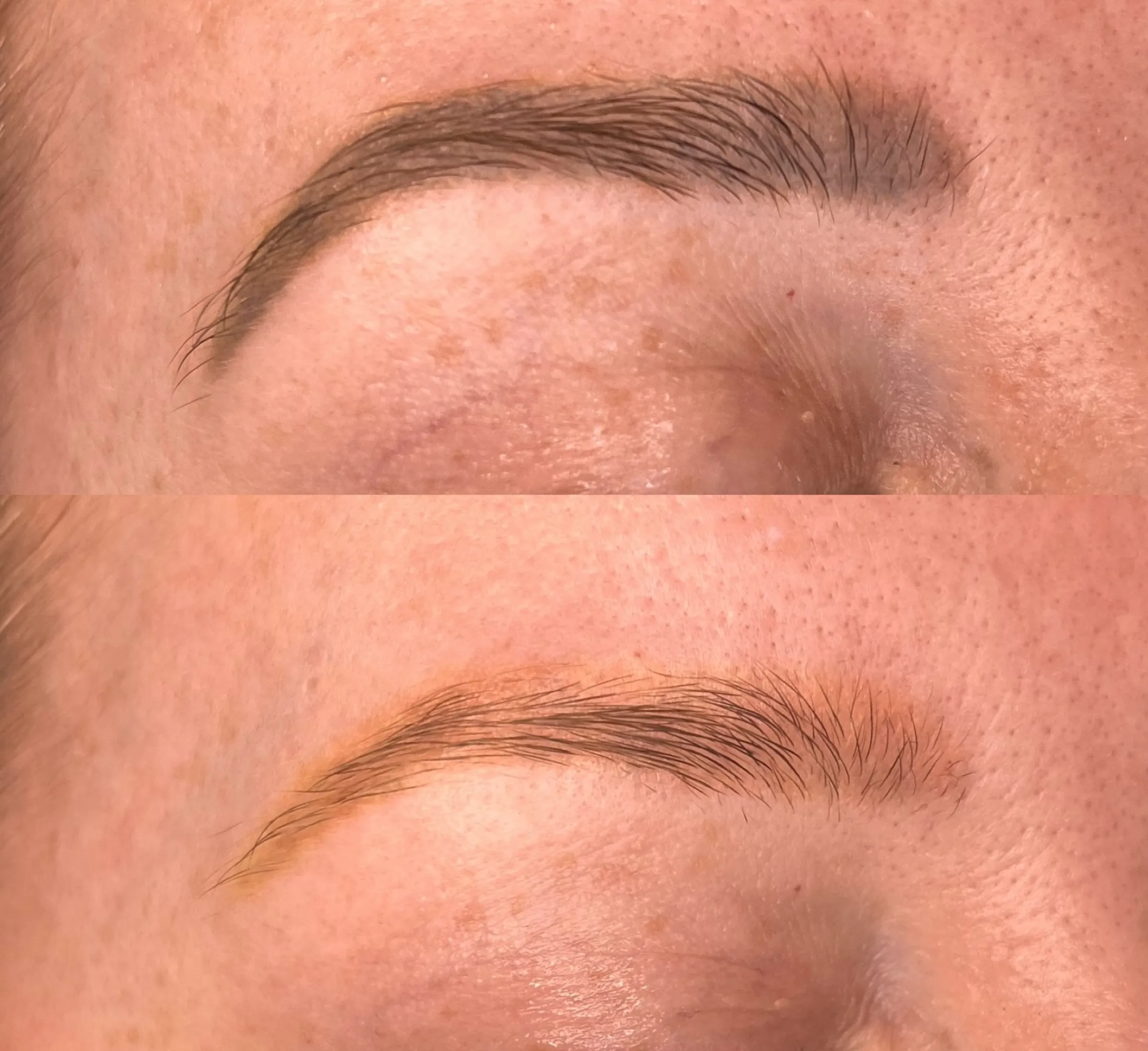 eyebrow tattoo learning timeline