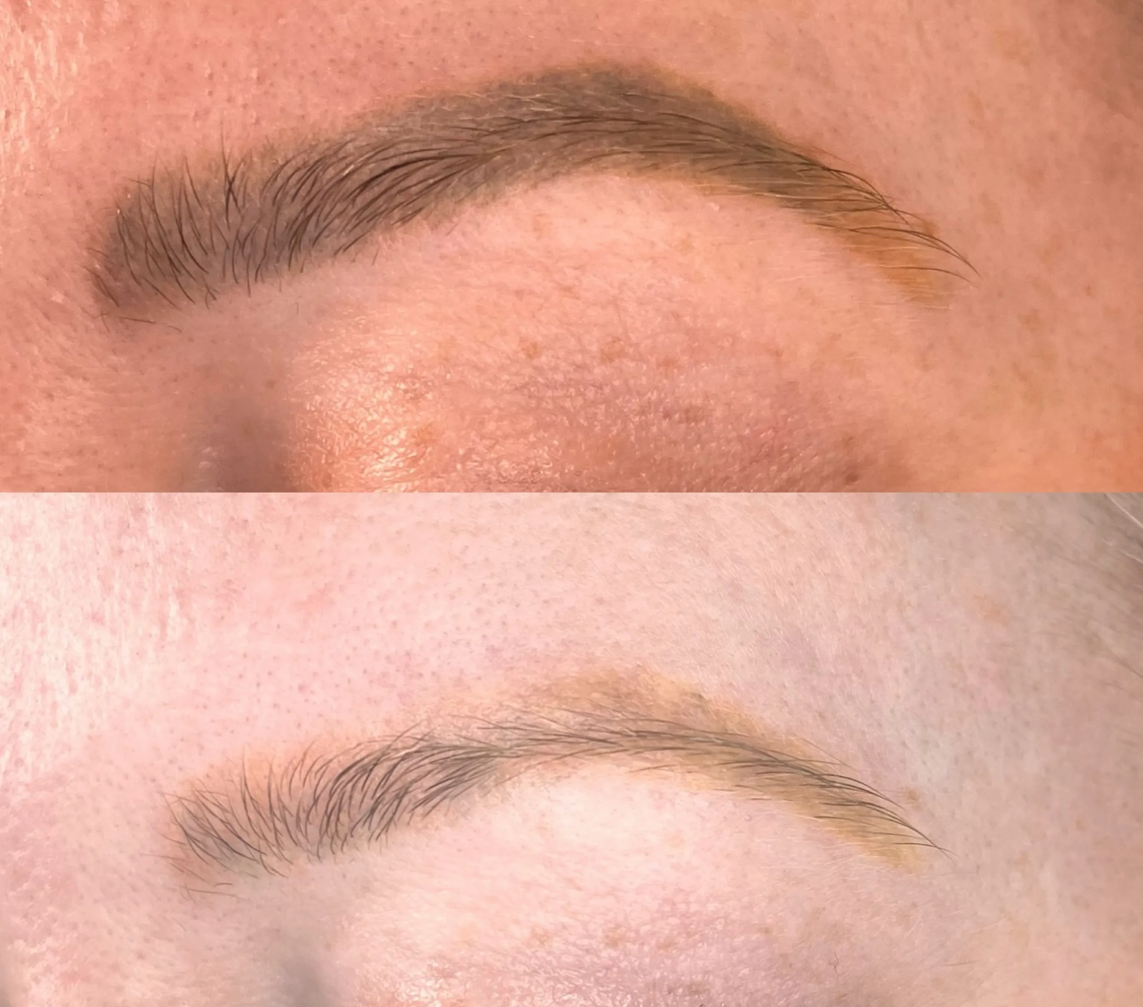 eyebrow tattoo training progression