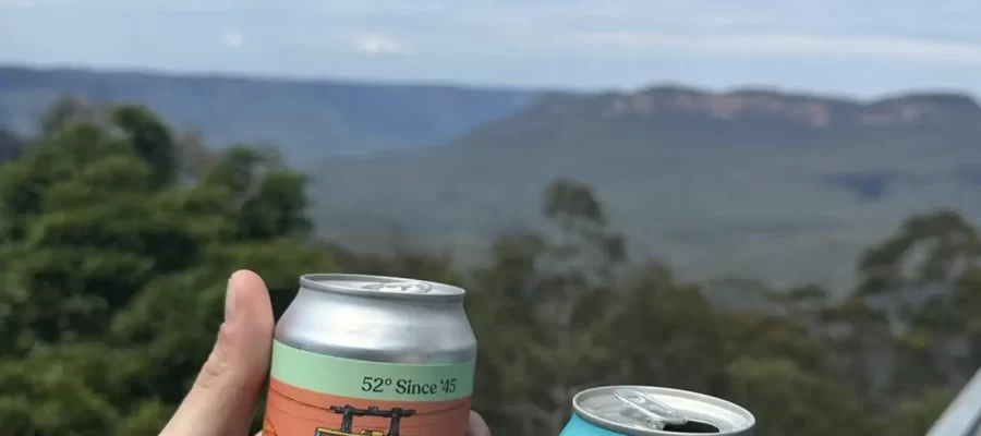 Which Top Picnic Spots With A View In The Blue Mountains Are Worth Visiting?